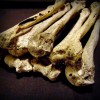 Lidská pažní kost